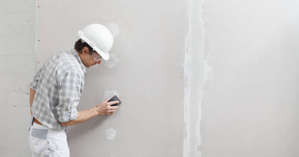 Best Environmental Consulting for Mold Prevention  in Greenland, AR