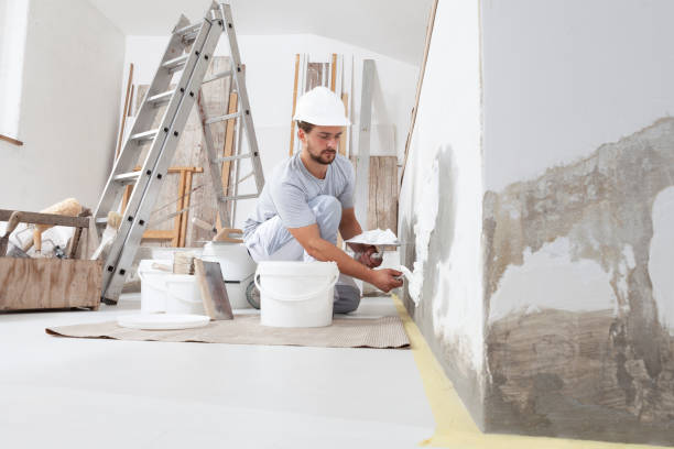 Best Basement Mold Removal  in Greenland, AR